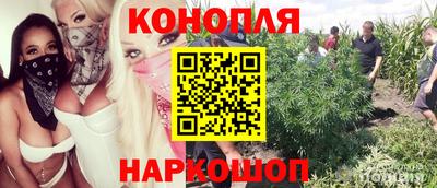 трава Ипатово