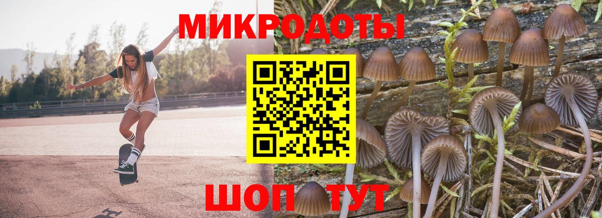 Псилоцибиновые грибы MAGIC MUSHROOMS  Вход с VPN  Псилоцибиновые грибы Cubensis  Лыткарино 